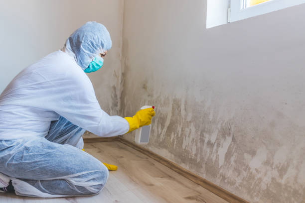 Licensed Mold Testing service in Roanoke, VA - WQB Mold Removal