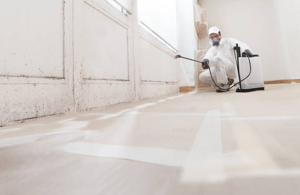 24/7 Emergency Mold Testing experts in Roanoke, VA