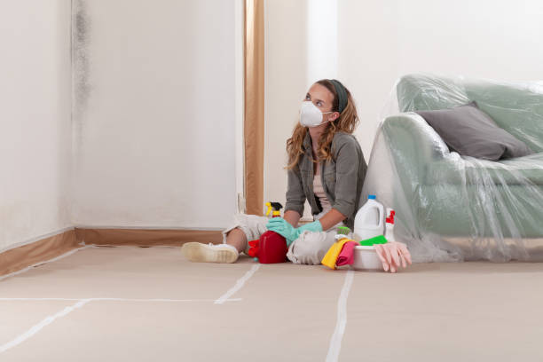 Reliable Mold Testing contractor in Roanoke, VA by WQB Mold Removal