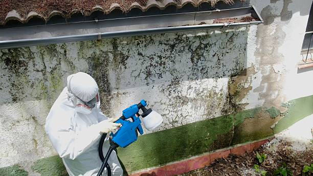 Top rated local Mold Testing specialists in Roanoke, VA
